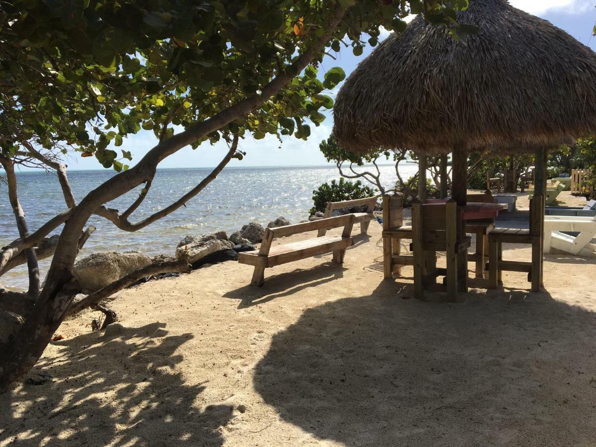 Licensed Mgr - Modern Oceanfront Condo! Beautiful Ocean Views! Beach Resort! 2 King Beds! Cayo Largo Exterior foto