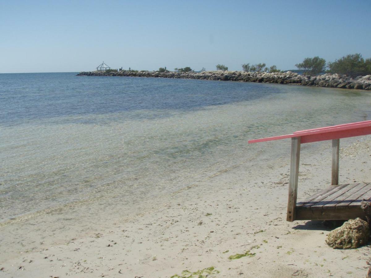 Licensed Mgr - Modern Oceanfront Condo! Beautiful Ocean Views! Beach Resort! 2 King Beds! Cayo Largo Exterior foto